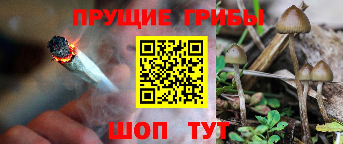 Псилоцибиновые грибы Cubensis  Вход с VPN  Краснодар 