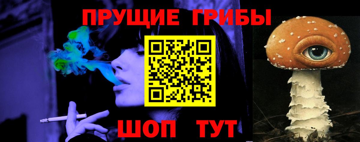 Псилоцибиновые грибы Psilocybe Краснодар